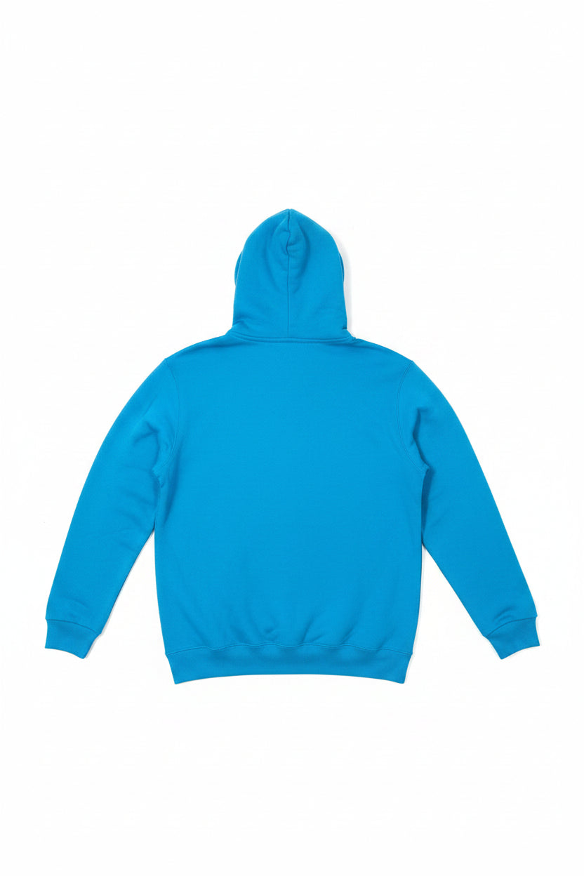Normal Isn't Coming Back Jesus Is Hoodie - Back