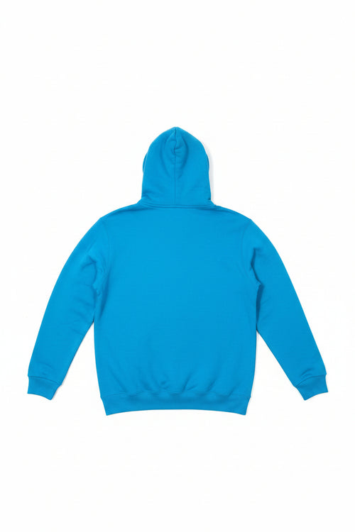 Normal Isn't Coming Back Jesus Is Hoodie - Back