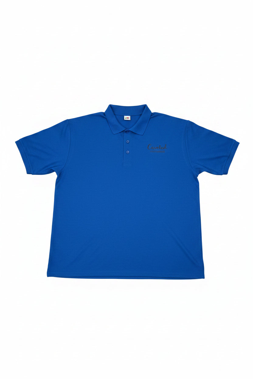 Crowned John 3:16 royal blue men's polo shirt – front view